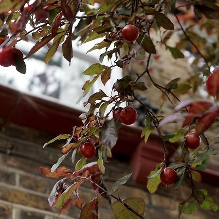 Luxury London Garden Home Sleep 7, 2 Mins To Metro Exterior foto