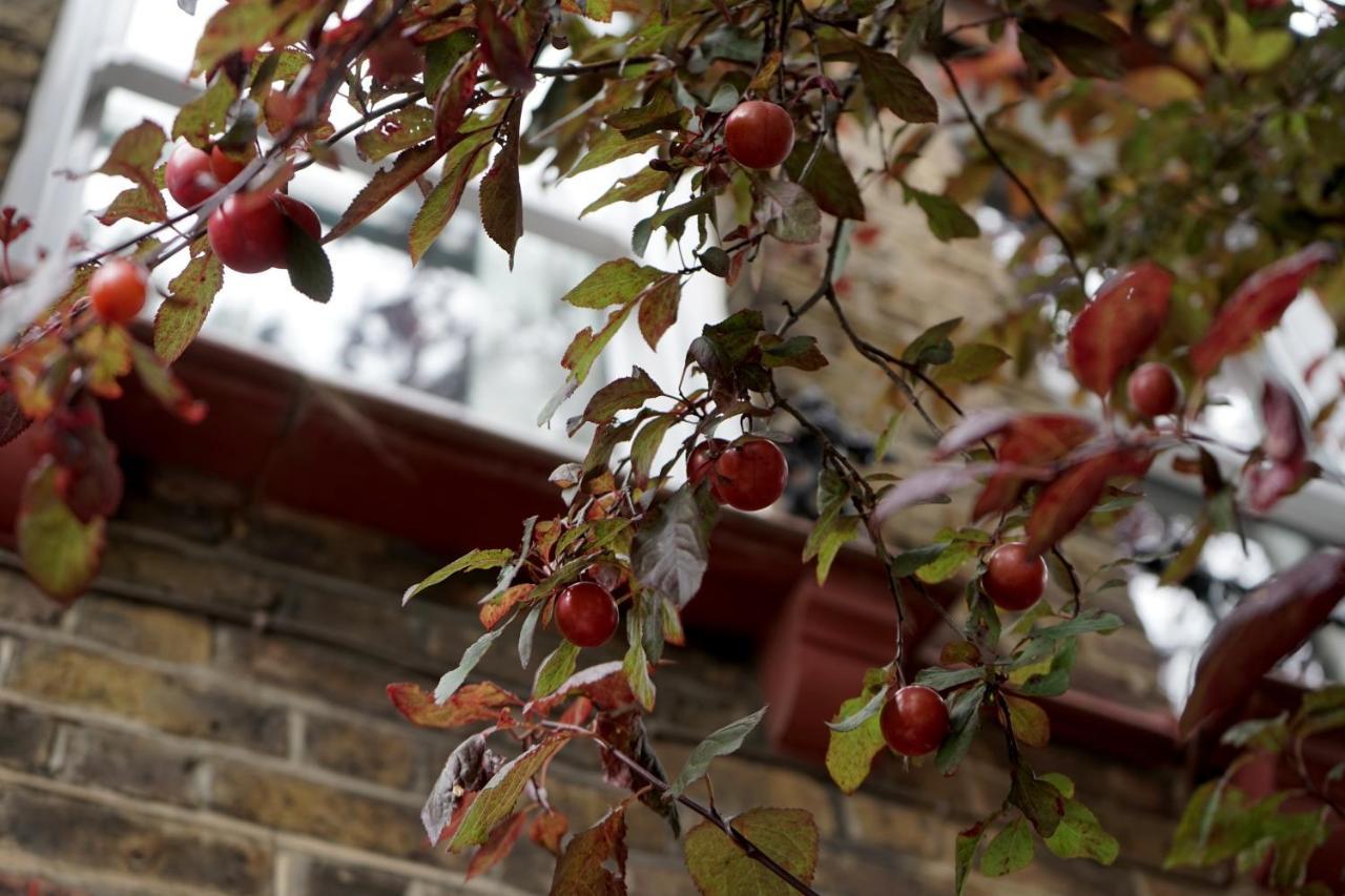 Luxury London Garden Home Sleep 7, 2 Mins To Metro Exterior foto